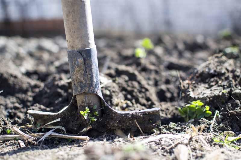 jardinerie-BORMES LES MIMOSAS-min_equipment-2047314